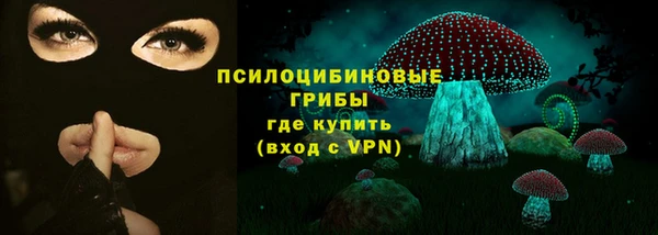 альфа пвп Медвежьегорск