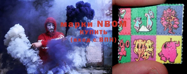 альфа пвп Медвежьегорск