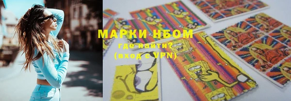хмурый Мегион