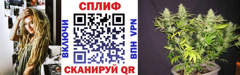 Конопля конопля Новоаннинский